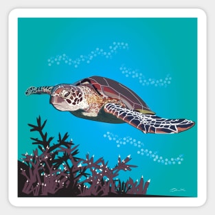 Green Sea Turtle Sticker